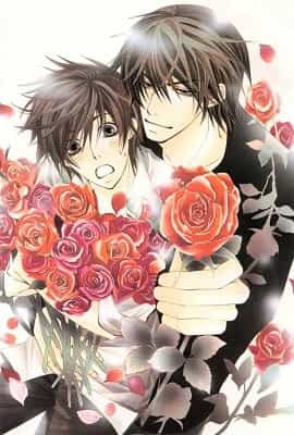 Sekai Ichi Hatsukoi - The World’s Greatest First Love